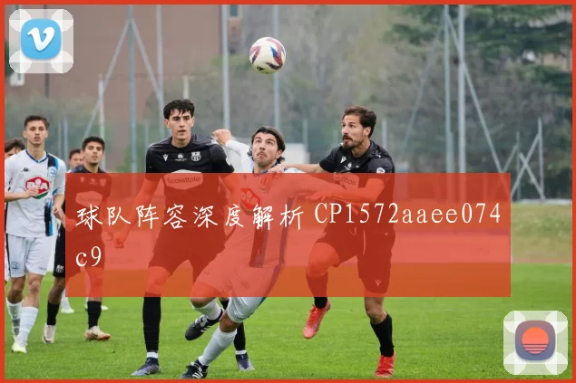 球队阵容深度解析 CP1572aaee074c9