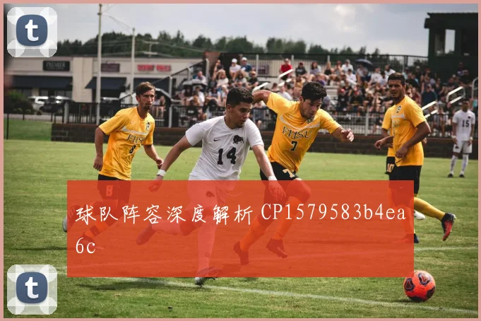 球队阵容深度解析 CP1579583b4ea6c