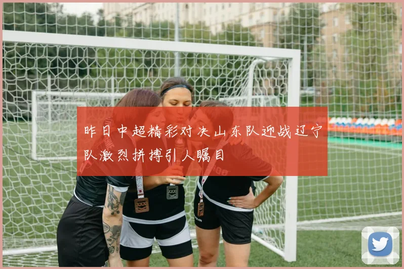 昨日中超精彩对决山东队迎战辽宁队激烈拼搏引人瞩目