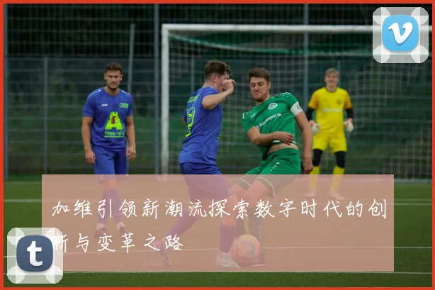 加维引领新潮流探索数字时代的创新与变革之路