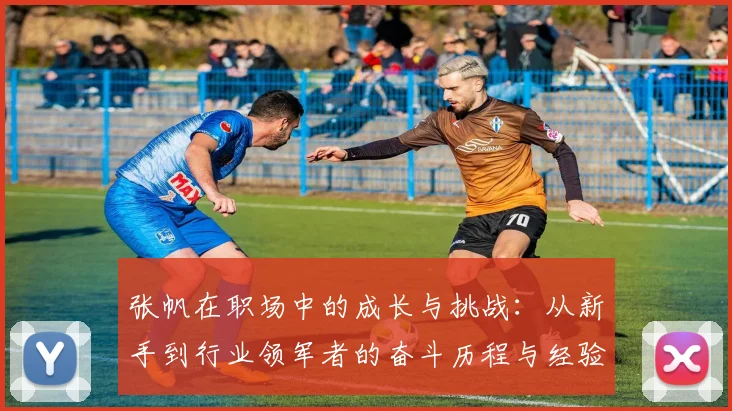 张帆在职场中的成长与挑战：从新手到行业领军者的奋斗历程与经验分享