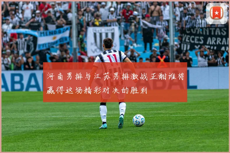 河南男排与江苏男排激战正酣谁将赢得这场精彩对决的胜利