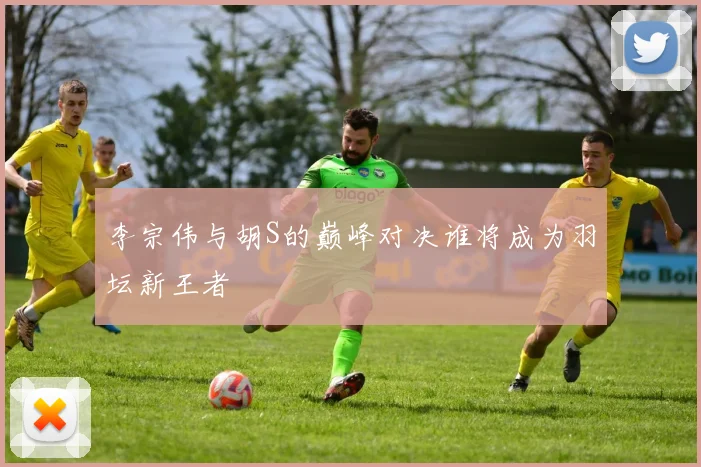 李宗伟与胡S的巅峰对决谁将成为羽坛新王者