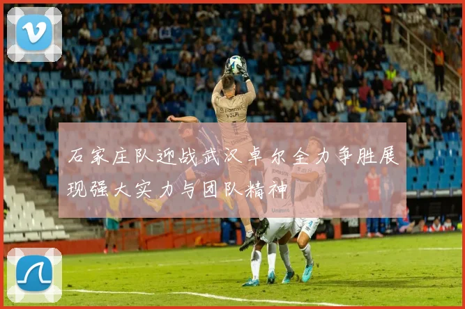 石家庄队迎战武汉卓尔全力争胜展现强大实力与团队精神